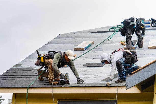 Professional Storm Damage Roof Repair technician working in Leadore, ID